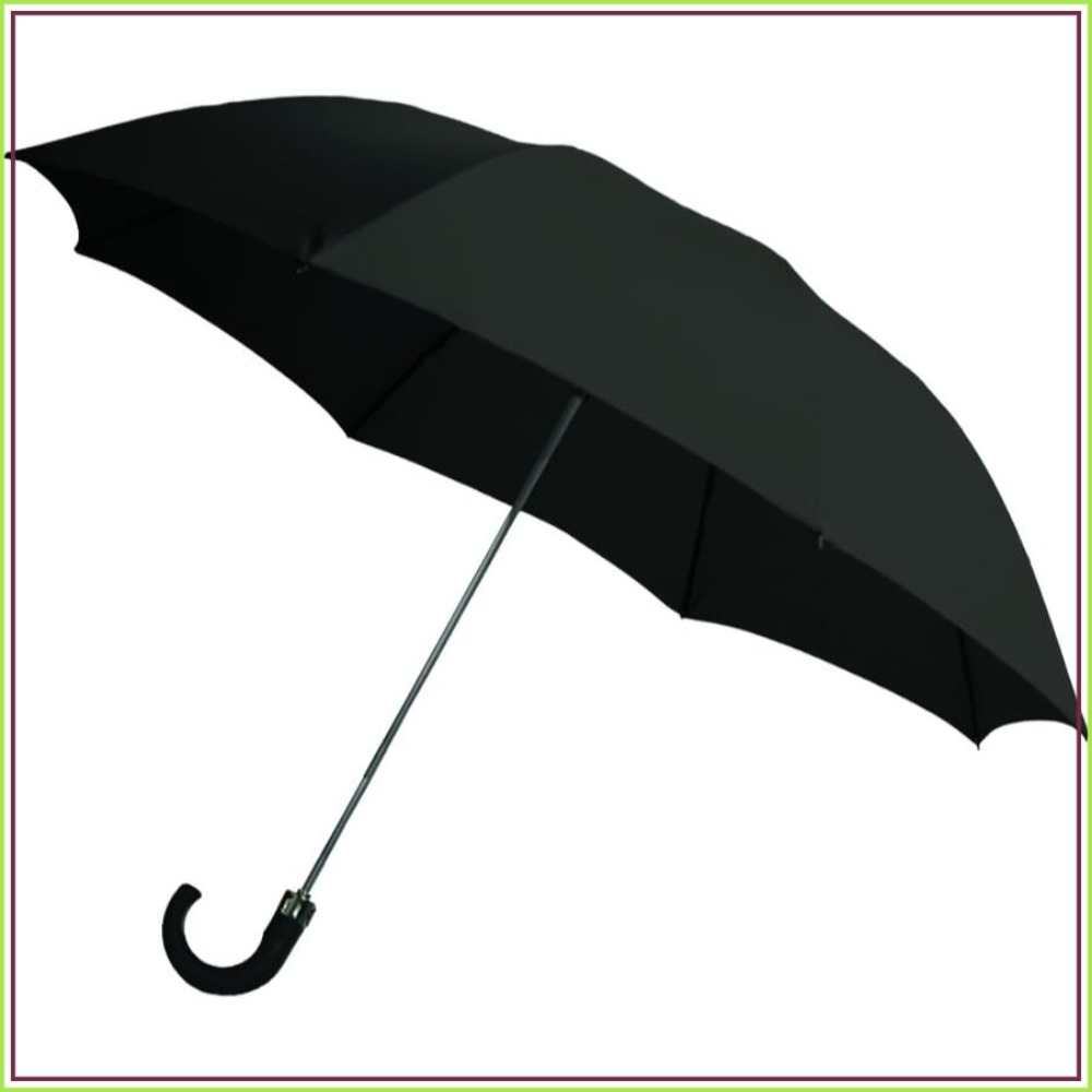 Travel Umbrella Compact - Rainbrella 2-Fold Auto Open Umbrella, Windproof