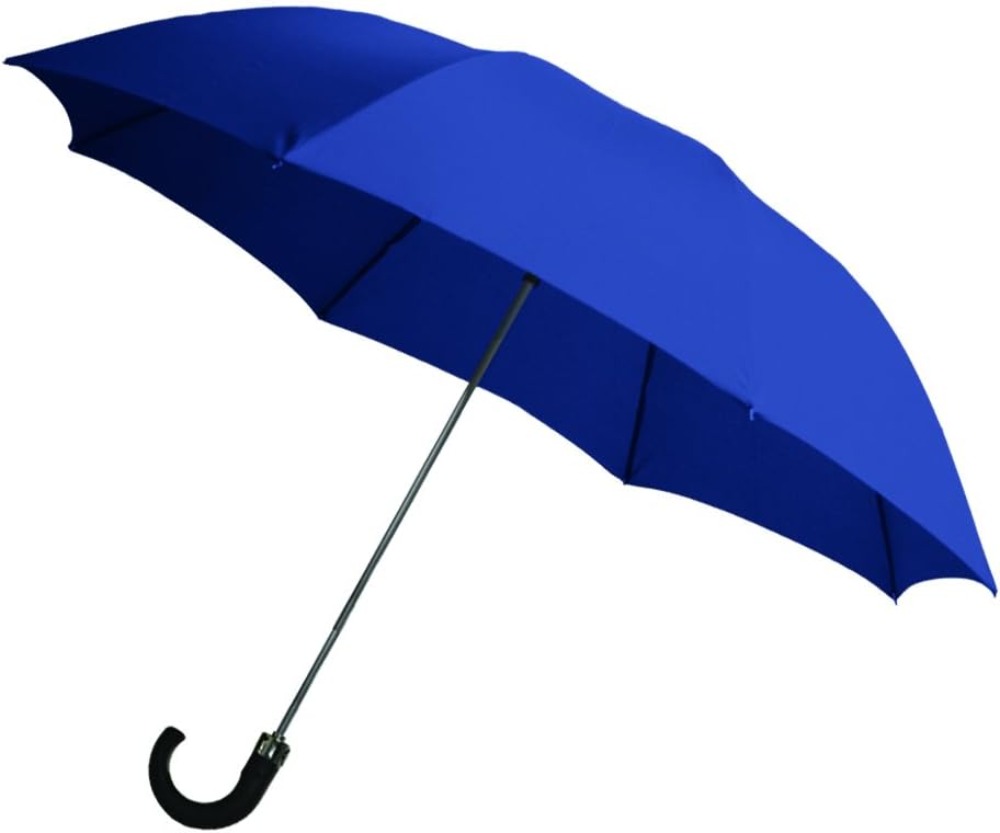 Rainbrella 2-Fold Auto Open Um - Travel Umbrella Compact ulasan dan harga